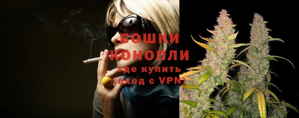 дживик Дмитровск