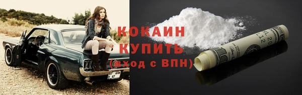 твердый Дмитров