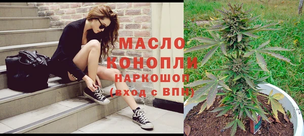 мет Дмитриев