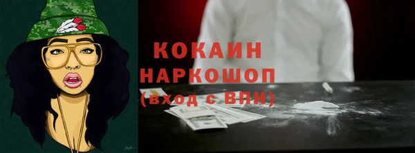 мет Дмитриев