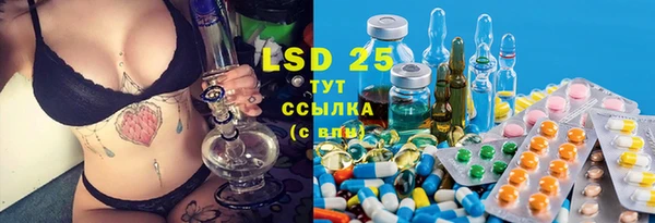 твердый Дмитров
